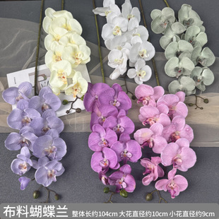 ���Ϻ����m���滨�ٻ��͏d�Ҿ��bƵꙻ����c�[���껨���l