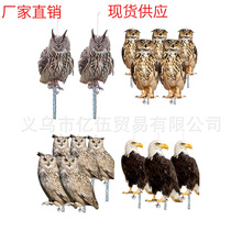 驱鸟神器仿真猫头鹰镭射反光双面亚克力驱鸟猫头鹰果园阳台庭院