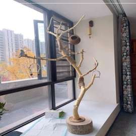 鹦鹉专用站架树枝原木杈干枝架枯木玄风鸟站架造型壁吊顶龙骨素虹