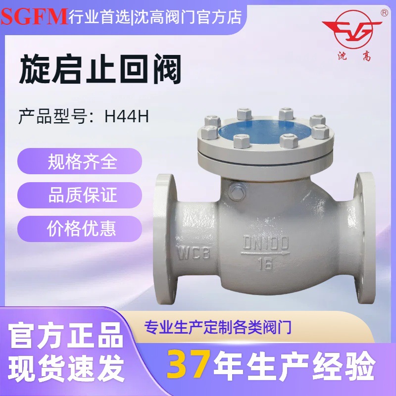 导热蒸汽单向阀油 H44H-16C旋启止回阀铸钢高温式逆止回DN200 600