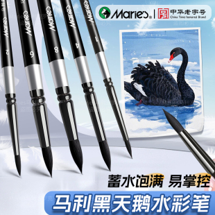 Black Swan Watercolor Pen Set Art Student Brush No. 8 Nylon Hair Watercolor Brush Digital Oil Brush Professional