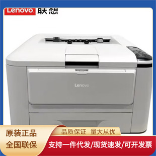 Lenovo GC250DN/GC251DNS red and black laser single function printer