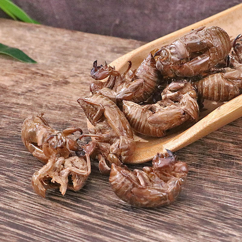 Cicada Slough Chan Tui 500g Dried Traditional Chinese Herb for Decoction and Tea quality and texture