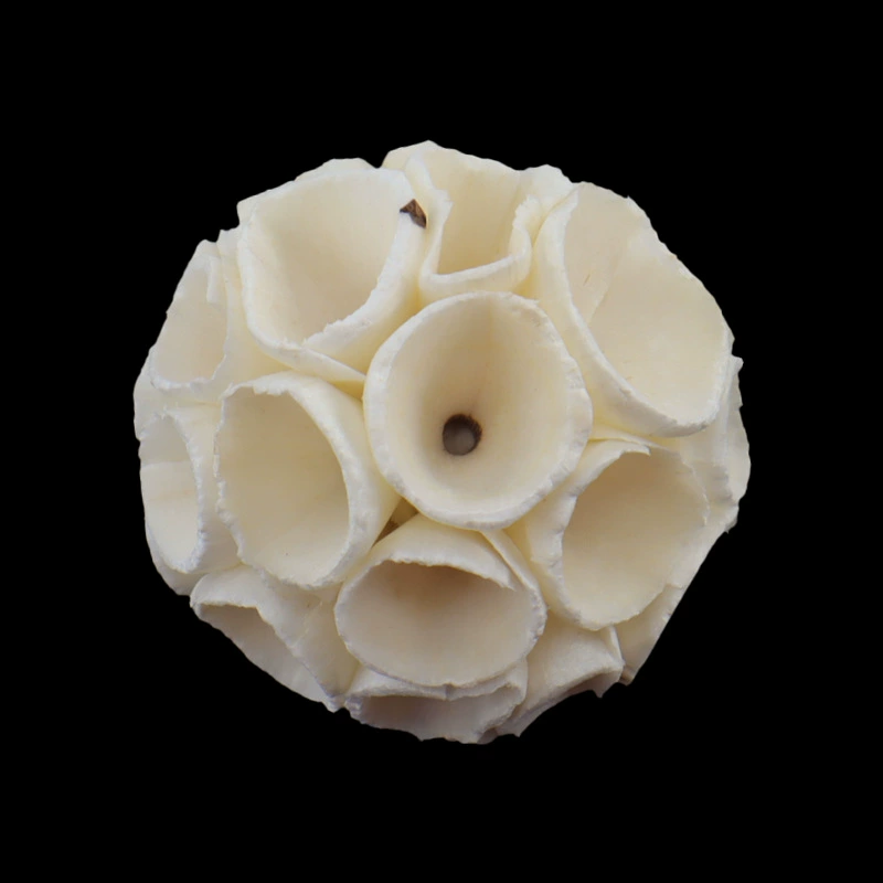 Оптовая продажа | 6cm натуральная трава мяч ручной работы попугай кусает мяч для домашних животных