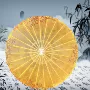拍照古典吊顶旗袍道具伞