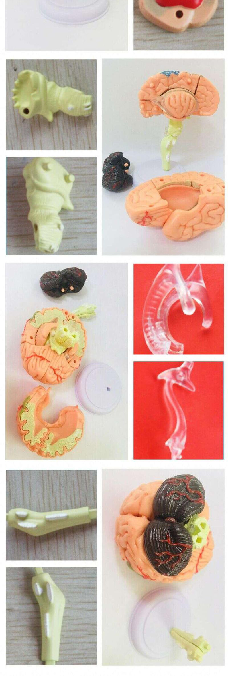 O1CN01OeBbed2Kk6XuOTA74_!!3578