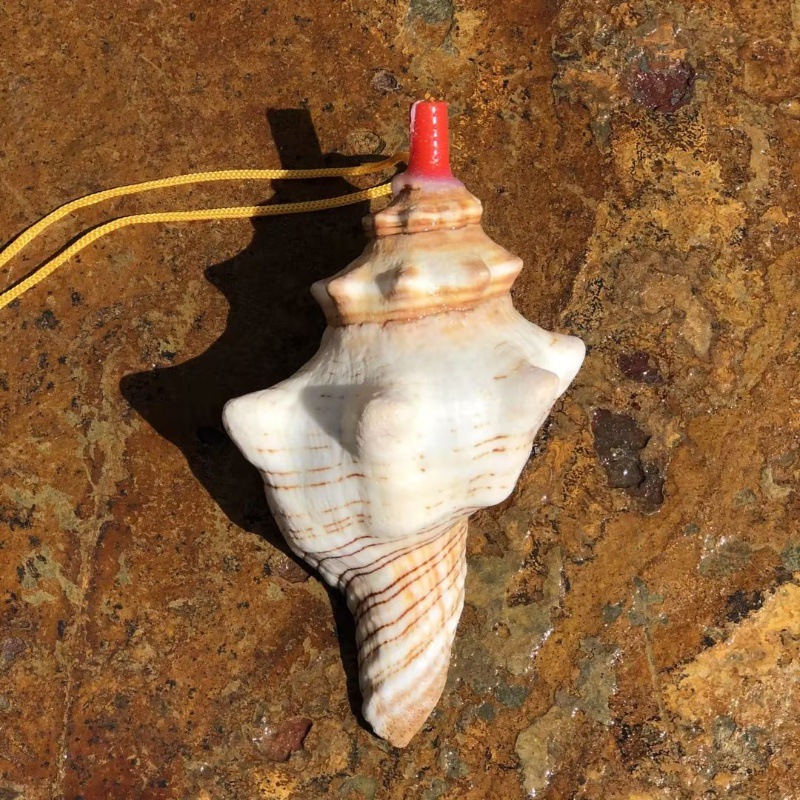 Big red spin snail whistle 12-14 cm