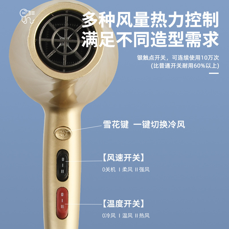 電気ドライヤー家庭用ヘアケア大出力ヘアサロン理髪店ホテル専用の強風力速乾燥熱風筒|undefined
