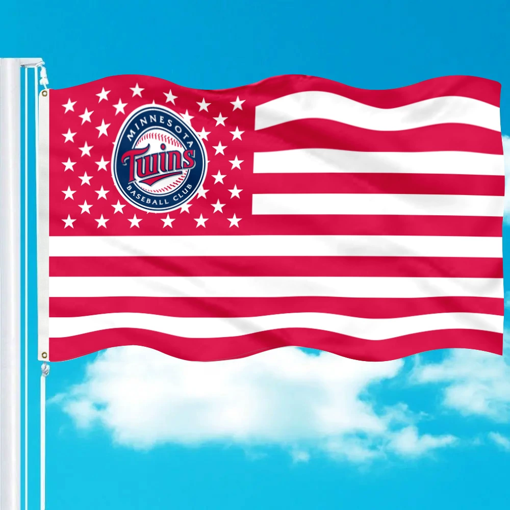 MLB minnesota twins flag