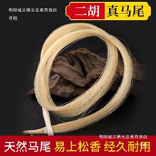 ��Ȼ���Rβ������ë����������Q�����Rβë�ڰ�84cm�L�����