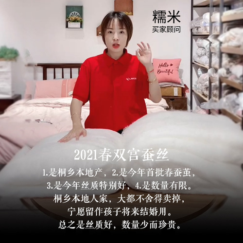BG54 [Treasure of the Town Store] Spring Shuanggong Cocoon Silk Quilt 100 Mulberry Silk Spring Autumn Quilt Winter Quilt Origin Fortune