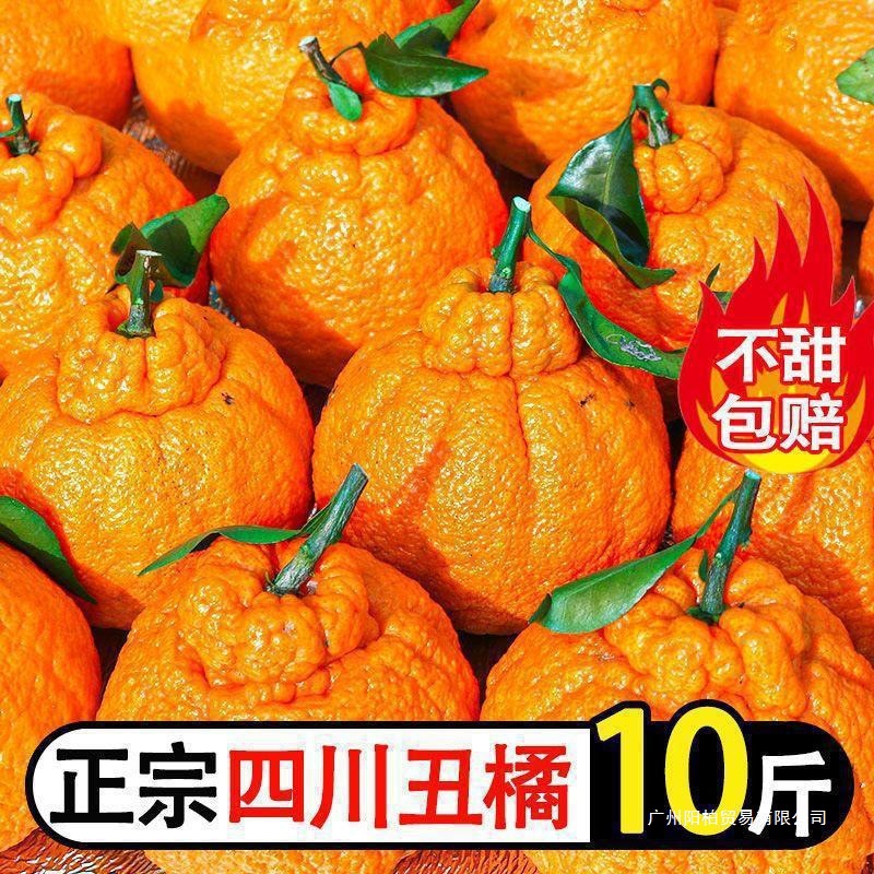 丑橘四川耙耙柑不知火新鲜水果桔子超甜粑粑柑非沃柑批发三级端正