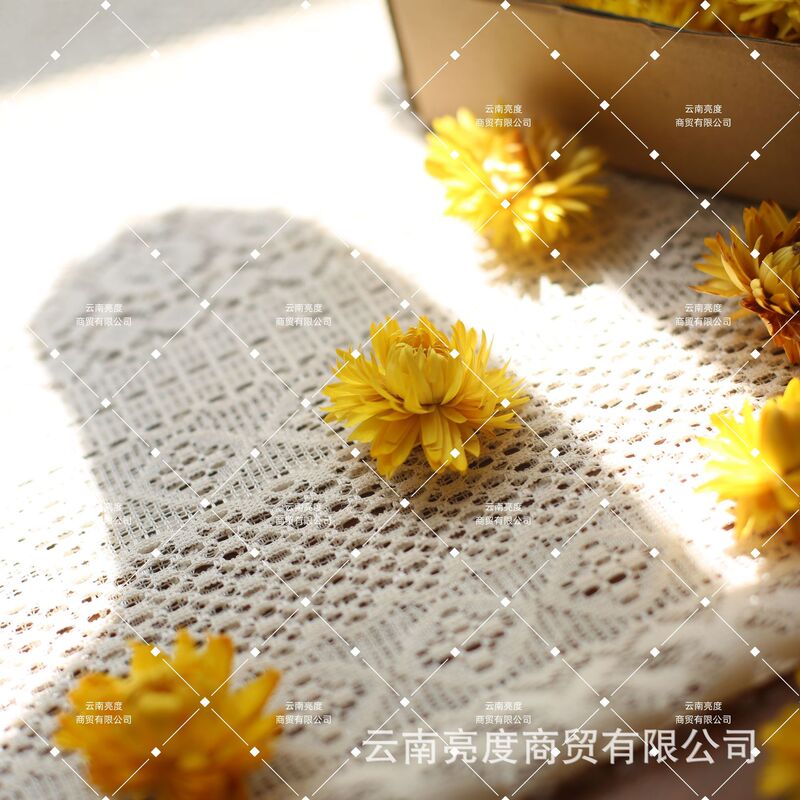 【小雏菊 麦秆菊】干花批发diy材料包真花花材手工拍照装饰七彩菊|undefined