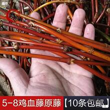 条手镯西藏山南野生鸡血藤手镯原藤粗裸戒指演出装饰原材麦太保无