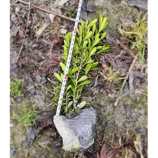 С�~�S��12���� �����S�� ȸ���S�� �����S�� �@�־G����ľ��ľ