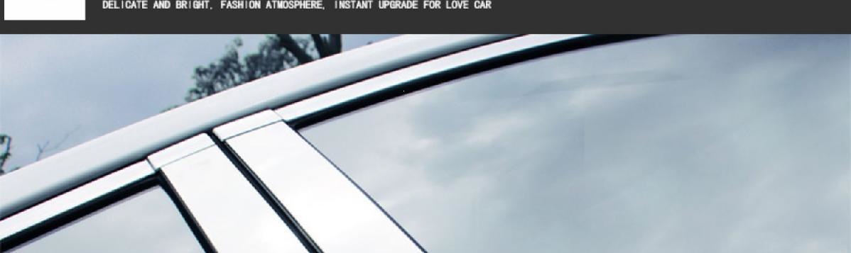 03-19 Model Prado Window Trim Strips, Modified Decorative Strips for Toyota Prado Body, Default Feature