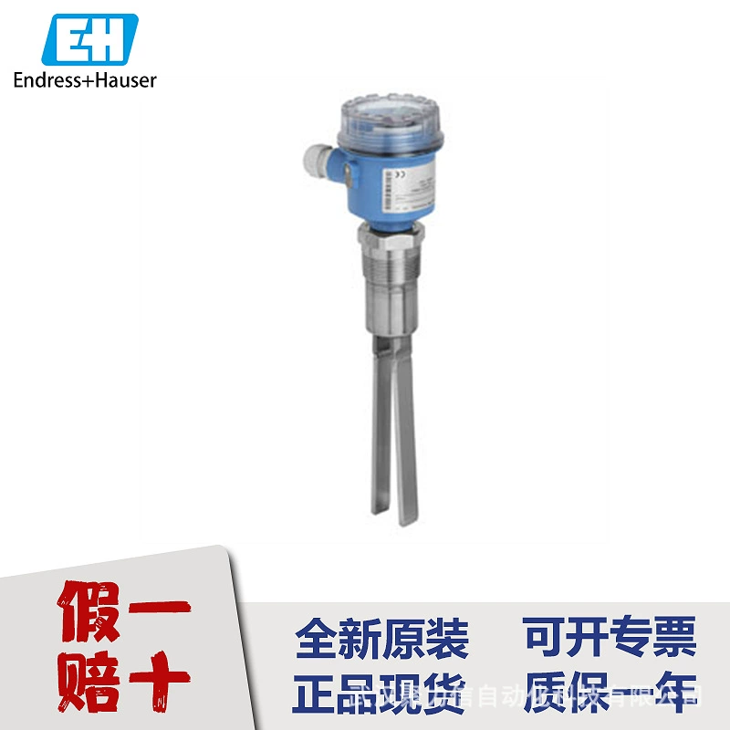 E+H Special PMP51B-AABADBA6AA3WCA1VWJA1+VD измеритель уровня, датчик давления, дифференциальное давление