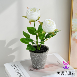 ��Ʒ���滨���^�@õ��С�辰�����ٻ����컨�͏d�����b�Ʒ�[��