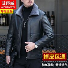 ����Ƥë���Ƥ�A�˼ӽqƤ�������������b�ﶬƤ��һ�w�мӺ���ʿ