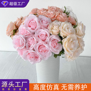 �WʽС���Ի�ˇ�ٻ��Gֲ��������õ�廨���[��10���õ�廨���l