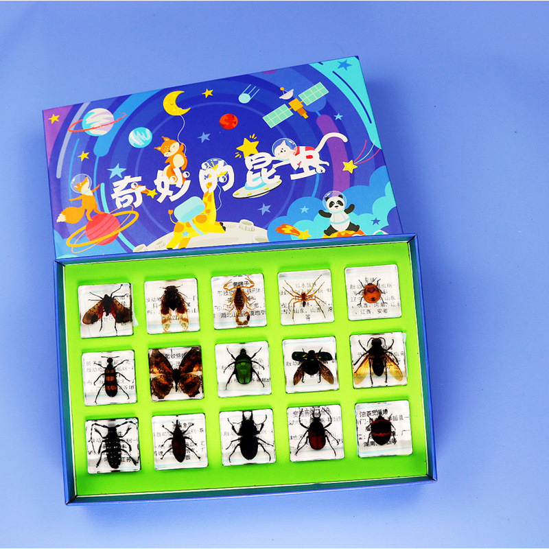 초등학교 대중과학 15종 + 선물상자 선택 가능 (핫모델)