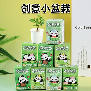 ��ͨ��؈С����ä�� �W��DIY�����С����ֲ�ﻨ�ܷN��С�YƷ���l