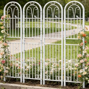 �F��ɏ���ټ��Nޱ�¼��Nֲ���@�řڑ��⻨��֧�ΗU�Fˇֲ��������