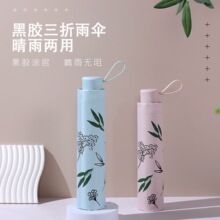 ���Â����ۺ��z��������⾀�ۯB��ꖂ�W�������2025�������