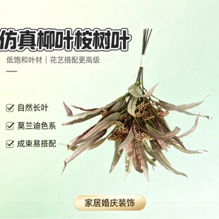 �����������~��������~ �ҾӾưɔzӰ�廨�Gֲ������l