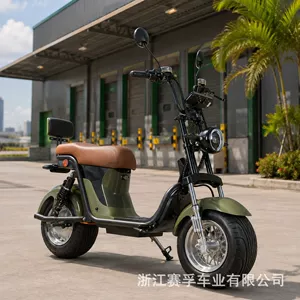 Manufacturer: Brazilian two-seater Harley electric vehicle Citycoco, wide-tire adult electric bicycle, electric motorcycle, electric scooter
