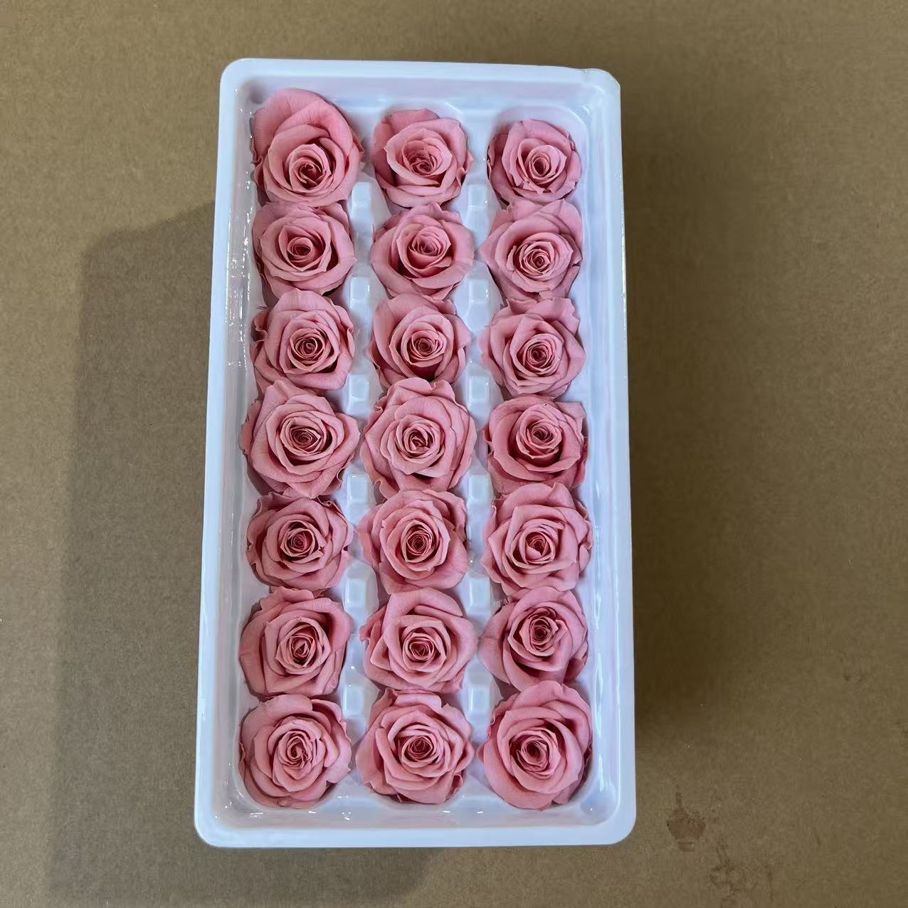 Melocotón rosa grado B 2-3cm/caja de 21 flores