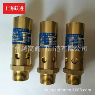 AK28X-16T�Ϻ��S�M�y�T�S �Չ��Cȫ�~����ȫ��ʽ��ȫ�yDN32 40 50
