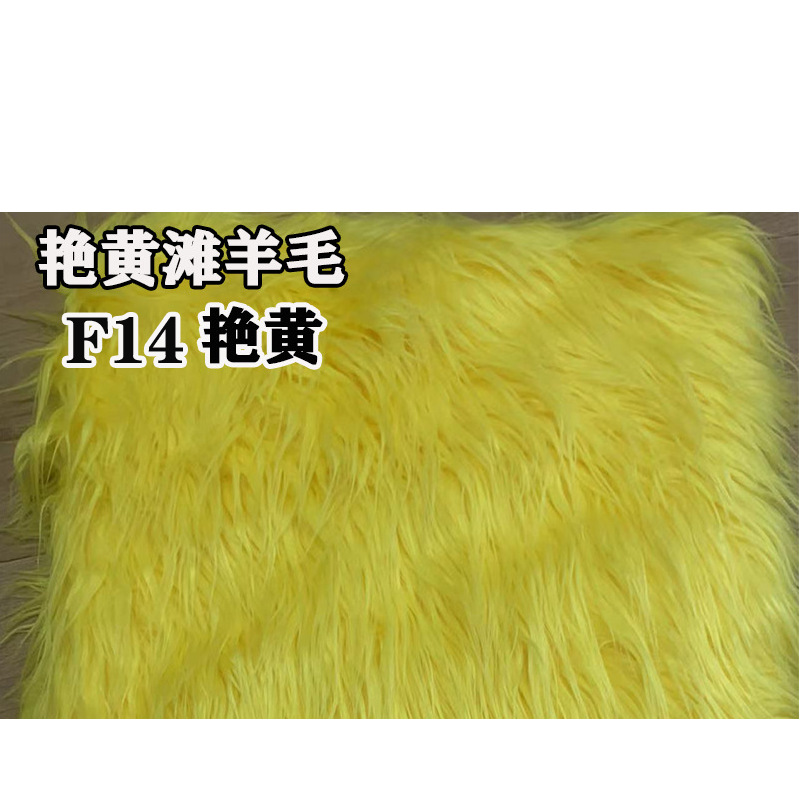 F14 얀 황