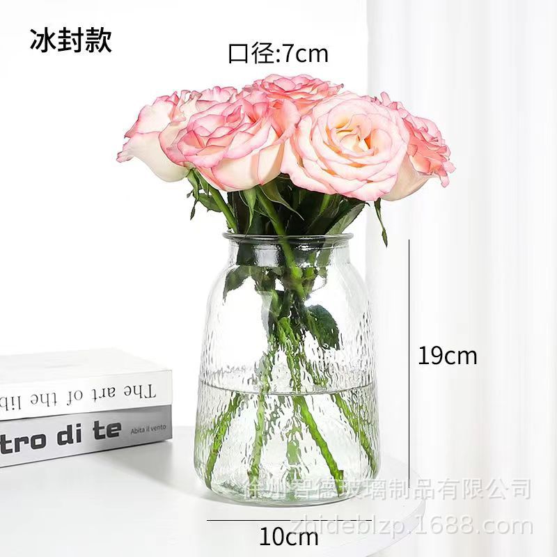 INS estilo florero de vidrio simple arreglo de flores transparente flor hidropónica planta verde florero sala de estar mesa de comedor Decoración