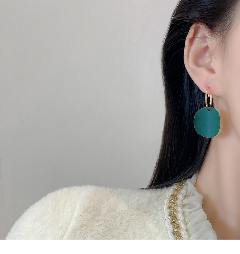 Korean Fashion Geometric Disc Earrings Ear Jewelry display picture 1