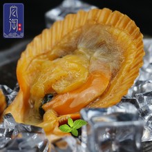 尚淘 东山岛半壳扇贝1kg（30-36只）扇贝肉烧烤食材海鲜贝类 1kg