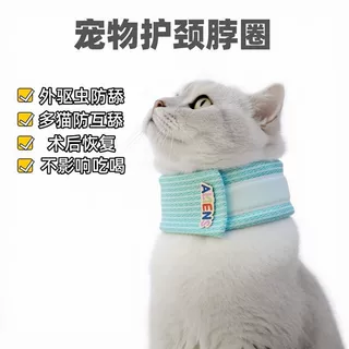 猫咪伊丽莎白宠物项圈宠物颈椎固定猫咪头套猫猫护颈防抓防脱脖子