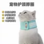 伊丽莎白颈椎防脱猫猫项圈