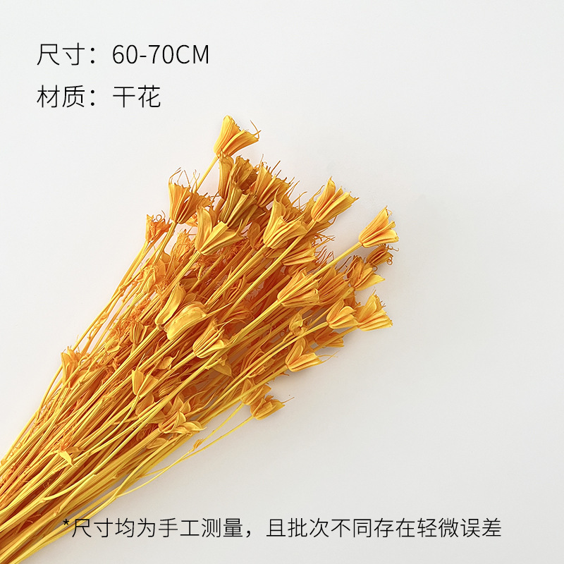 芯苼 中秋节月满丰收干花鲜花束搭配材料节日礼物装饰花艺手工diy|undefined