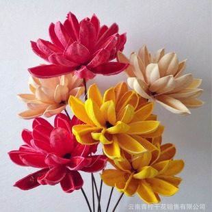 [Overlord Flower] Large bouquet of sisal imperial flower Yunnan dried flower decoration flower arrangement art home soft clothing shooting props