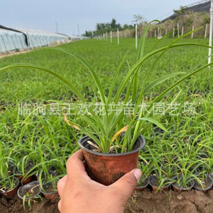 ��������� �������޸�С�^ͥԺ���@�Nֲ �@�־G����������F؛