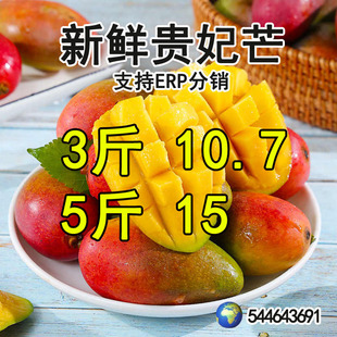 ���r�F��â9��â������ˮ������������֭�t������������â��Ҏ