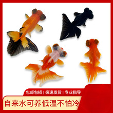 С���~���~�^�p�~��ˮ��ˮ�t���~�\���~���B�ͻ����\���^������~