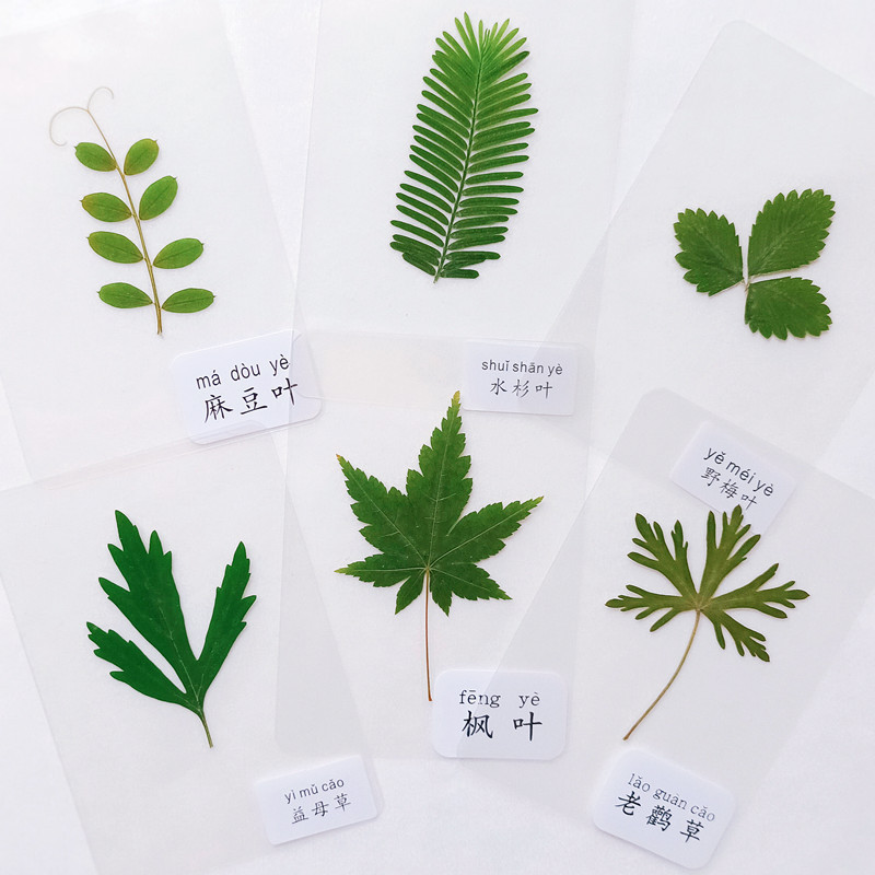 FIMO_1652257759390_副本