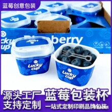 网红小懒杯杯子60克125克方形带盖蓝莓杯包装盒塑胶蓝莓杯盒子