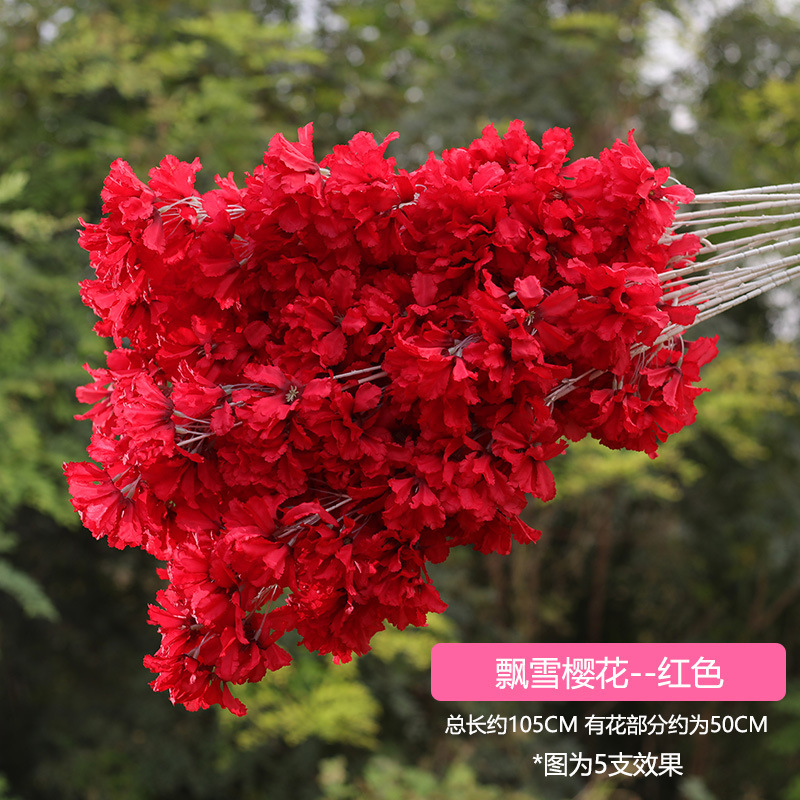 Snow cherry blossom red