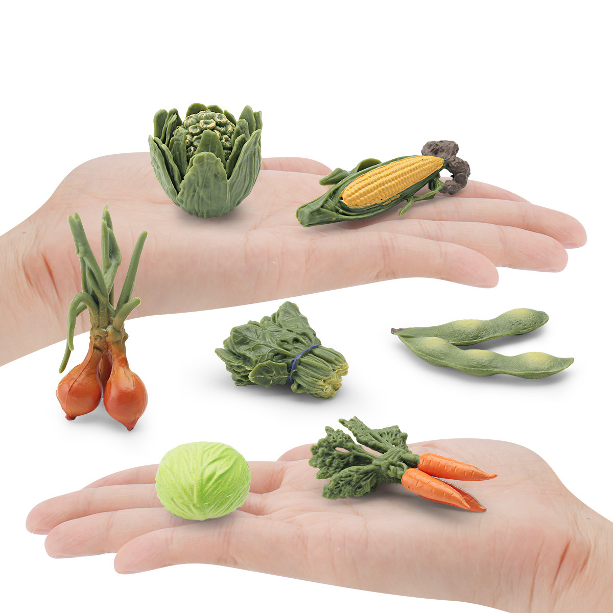 Transfronteriza simulación vegetal modelo espinaca zanahoria abeja cubo vegetal maíz repollo cebolla soja alimentos adornos estáticos