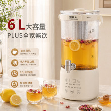多功能煮茶壶养生壶炖煮一体大容量花茶壶桶器家用烧水壶煮茶器