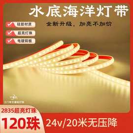 led灯带户外防水低压工程照明硅胶自粘发光软灯条超亮批发光源