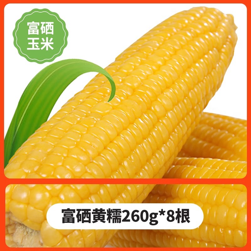 폭발하다! 셀레늄이 풍부한 노란옥수수 230g*8개 (핫셀러)